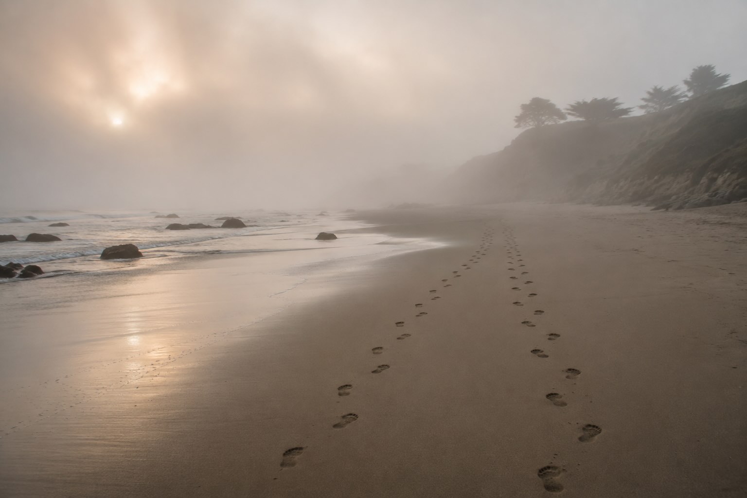 Two sets of footprints on a foggy California beach