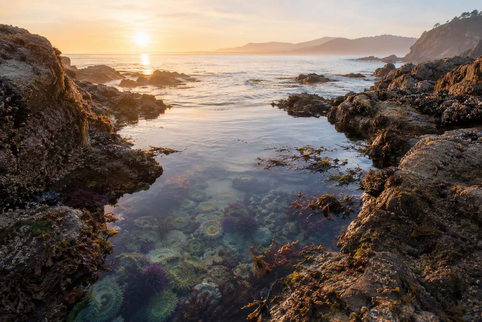 A quiet tide pool cove on the California coast