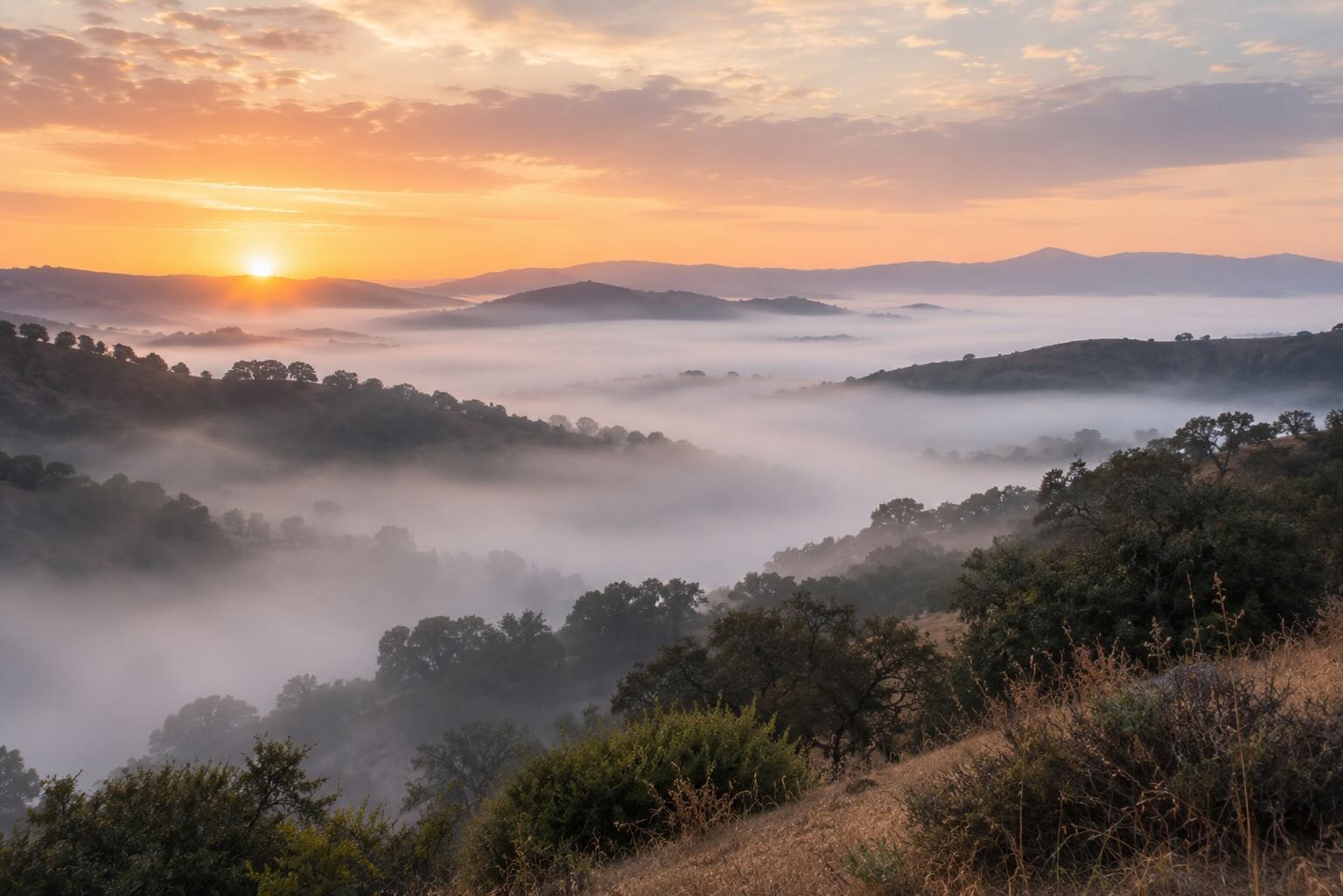 A misty California valley at dawn