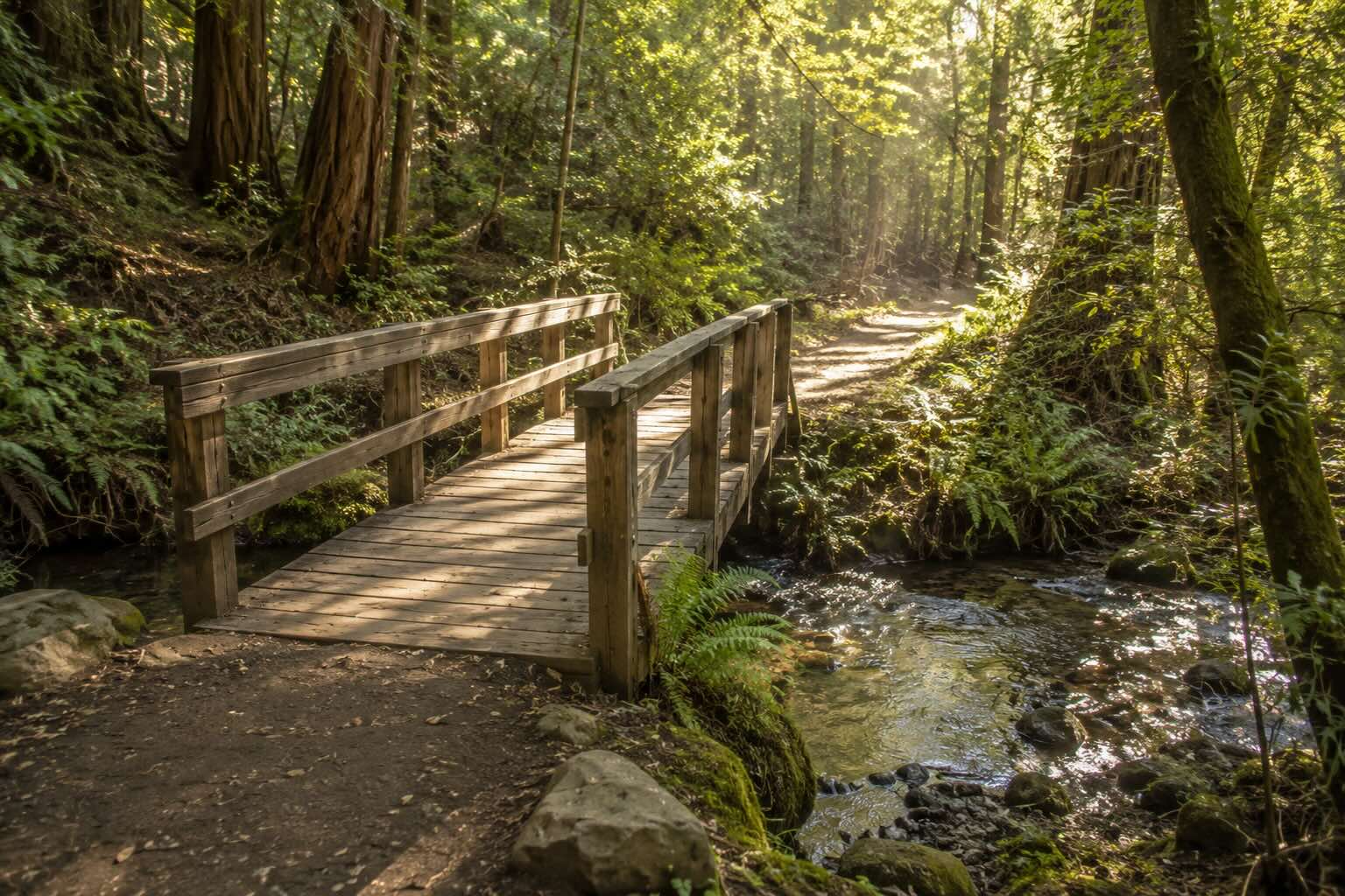 A wooden footbridge crossing a small creek in a California forest