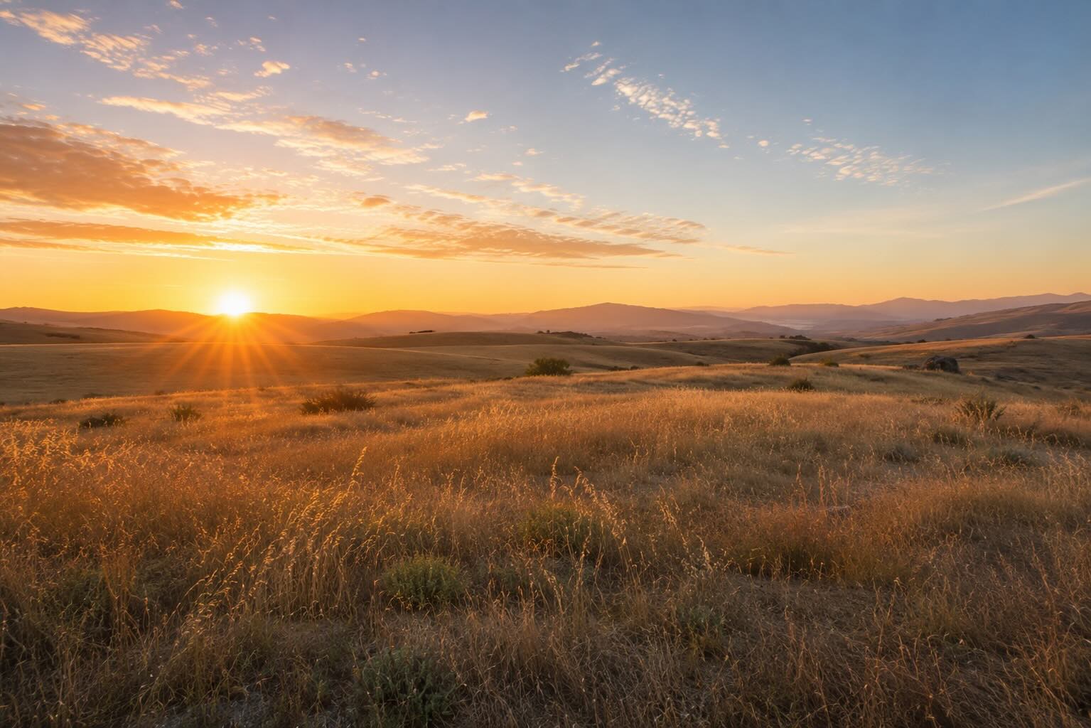 Sunrise over open California grassland