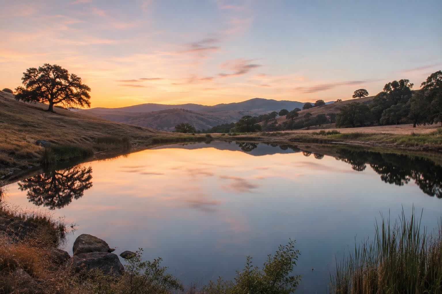 A still pond reflecting the sky at first light